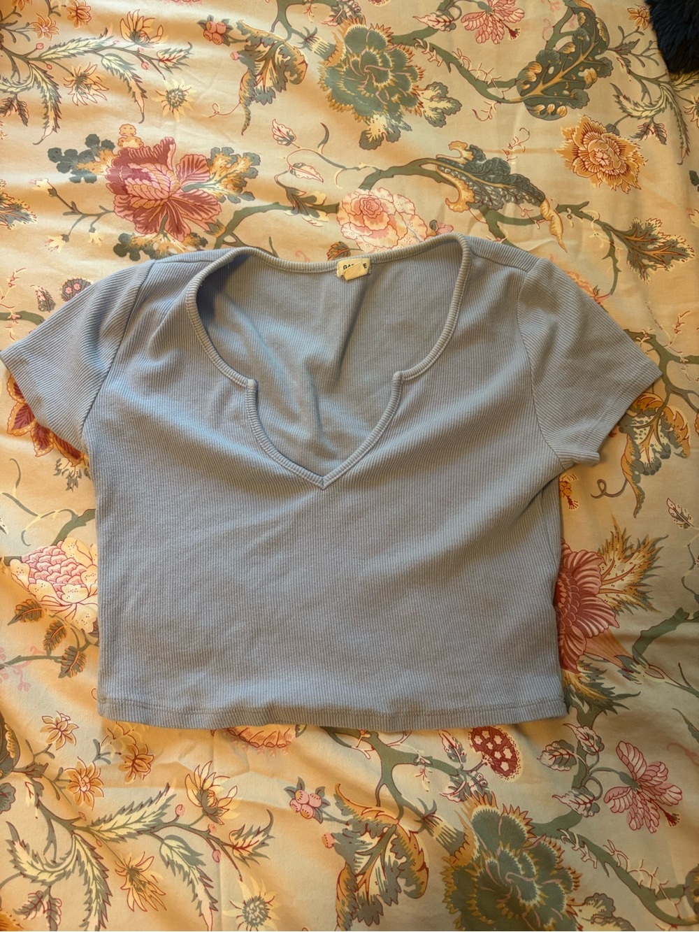 Garage Light Blue Ribbed V-Neck Crop Top